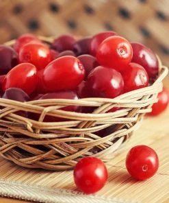 Fast Growing Trees Cornelian Cherry Dogwood Tree See All Fruit Trees 12 Fast Growing Trees Cornelian Cherry Dogwood Tree See All Fruit Trees