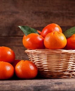 Fast Growing Trees Shop Indoor & Patio Fruit Dancy Tangerine Tree
