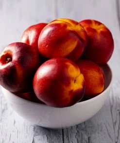 Fast Growing Trees Double Delight Nectarine Tree