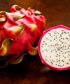 Fast Growing Trees See All Fruit Trees Dragon Fruit Cactus - USDA Organic 11 Fast Growing Trees See All Fruit Trees Dragon Fruit Cactus - USDA Organic