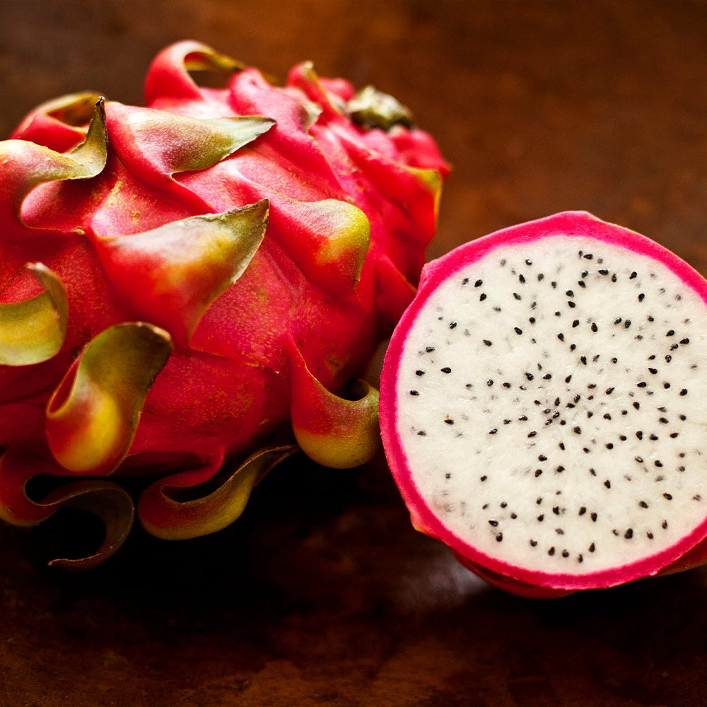 Fast Growing Trees See All Fruit Trees Dragon Fruit Cactus - USDA Organic 5 Fast Growing Trees See All Fruit Trees Dragon Fruit Cactus - USDA Organic