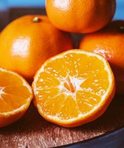 Fast Growing Trees EasyPeel Clementine Tree