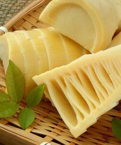 Fast Growing Trees Bamboo Trees Edible Bamboo Plant