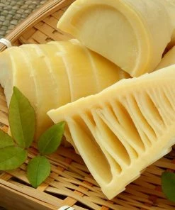 Fast Growing Trees Bamboo Trees Edible Bamboo Plant