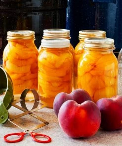 Fast Growing Trees Peach Trees Elberta Peach Tree 11 Fast Growing Trees Peach Trees Elberta Peach Tree