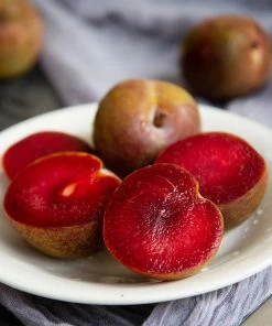 Fast Growing Trees Plum Trees Elephant Heart Plum Tree