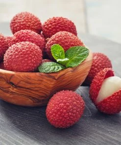 Fast Growing Trees Emperor Lychee Tree Tropical Fruit Trees