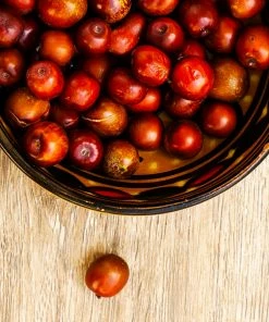 Fast Growing Trees Empress Gee™ Jujube Tree