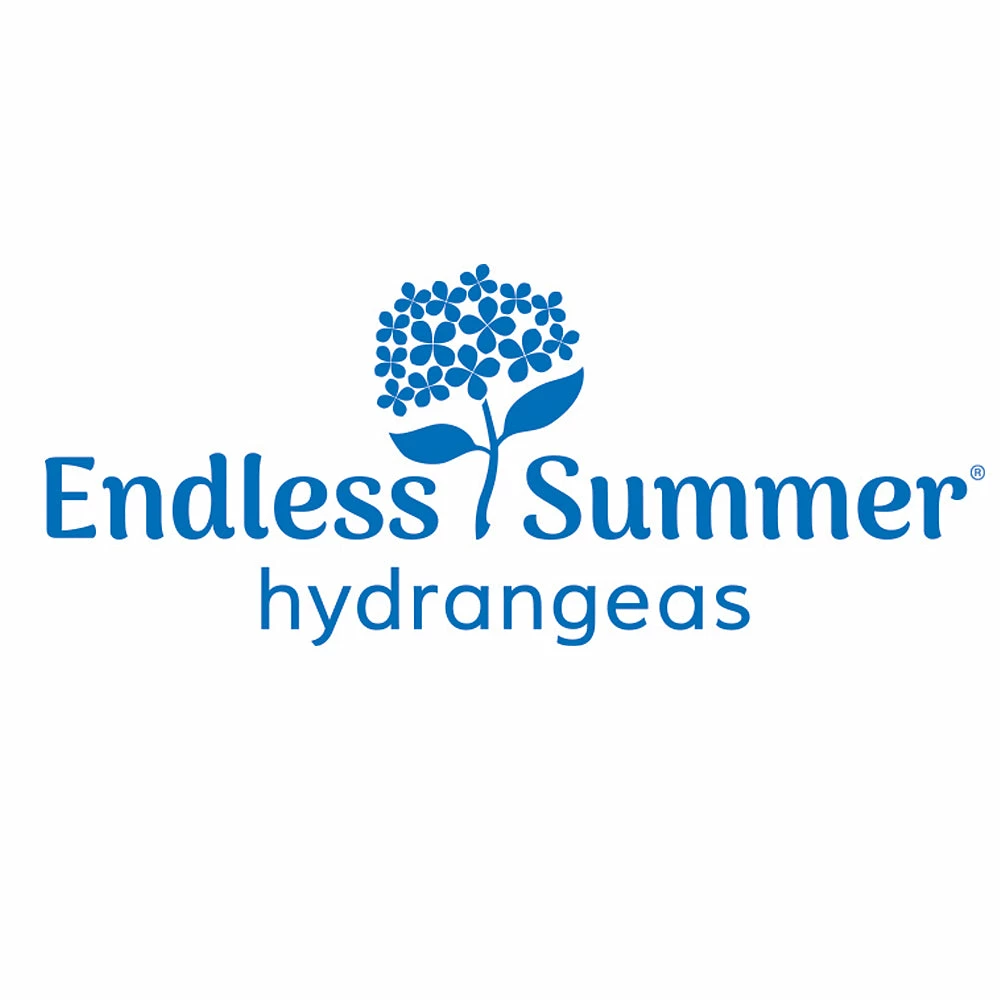 Fast Growing Trees Endless Summer® Hydrangea Shrub 8 Fast Growing Trees Endless Summer® Hydrangea Shrub