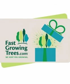 FastGrowingTrees.com E-Gift Card