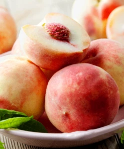 Fast Growing Trees Florida King Peach Tree See All Fruit Trees