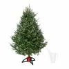 Fast Growing Trees Fresh Cut Christmas Tree Kit