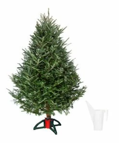 Fast Growing Trees Fresh Cut Christmas Tree Kit