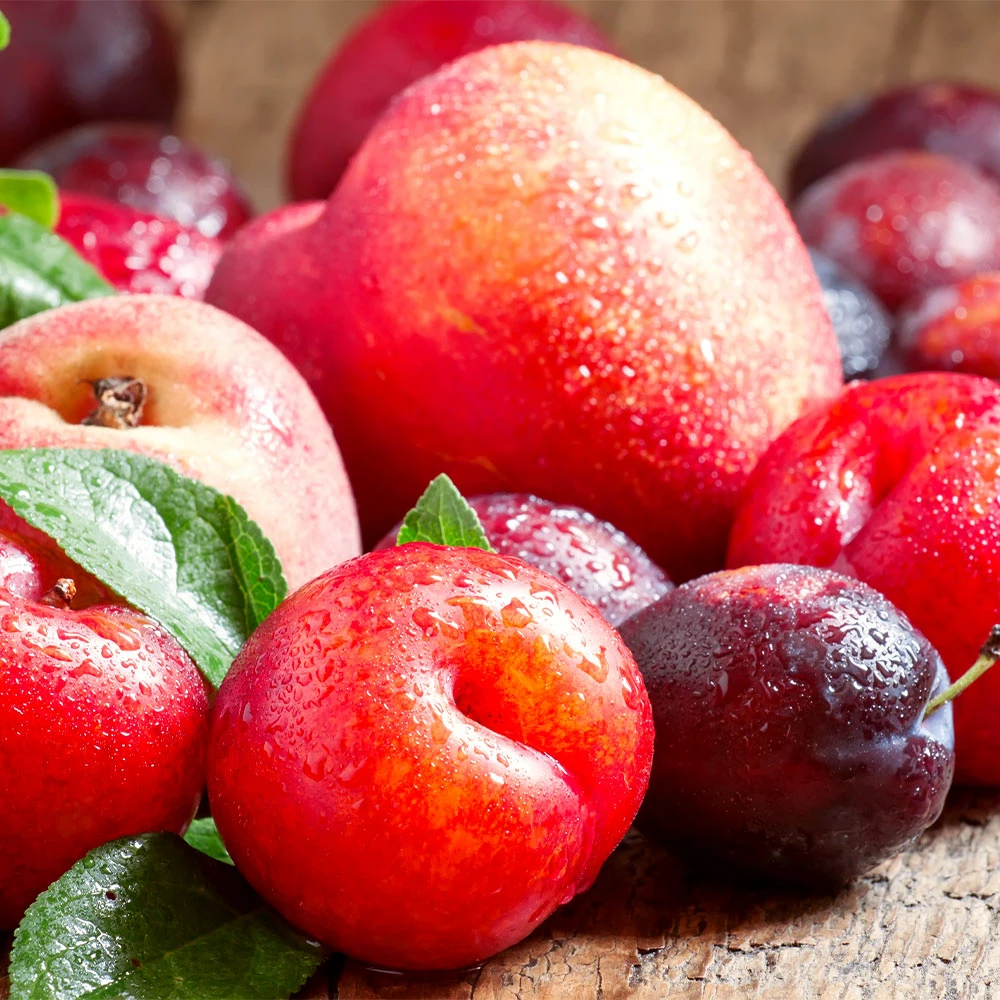 Fast Growing Trees Fruit Cocktail Tree Peach Trees 4 Fast Growing Trees Fruit Cocktail Tree Peach Trees