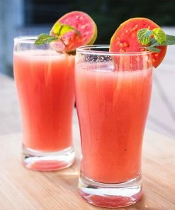 Fast Growing Trees Guava Tree 'Ruby Supreme' See All Fruit Trees