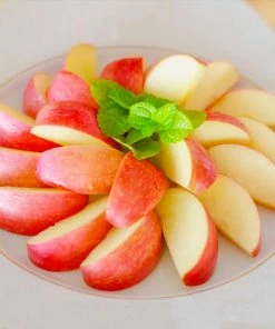 Fast Growing Trees Gala Apple Tree - USDA Organic Apple Trees 11 Fast Growing Trees Gala Apple Tree - USDA Organic Apple Trees