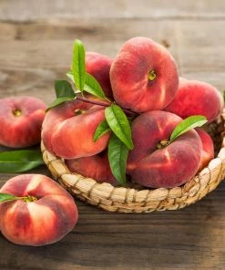 Fast Growing Trees Peach Trees Galaxy Peach Tree