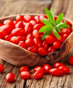 Fast Growing Trees Goji Berry See All Fruit Trees