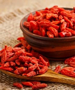 Fast Growing Trees Goji Berry See All Fruit Trees