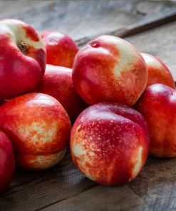 Fast Growing Trees Goldmine Nectarine Tree See All Fruit Trees