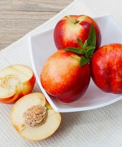 Fast Growing Trees Goldmine Nectarine Tree See All Fruit Trees