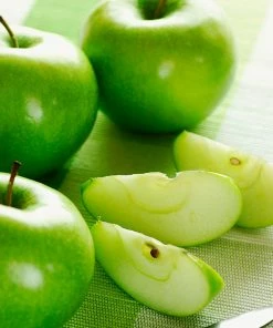 Fast Growing Trees Apple Trees Granny Smith Apple Tree