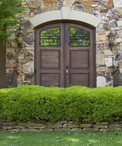 Fast Growing Trees Boxwood Shrubs Green Mountain Boxwood Shrub