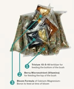 Fast Growing Trees Garden Supplies Berry Bush Care Kit