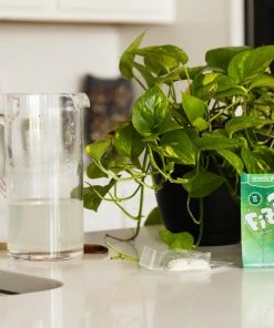 Fast Growing Trees Garden Supplies FIZZ Plant Food