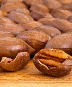 Fast Growing Trees Nut Trees Hardy Pecan