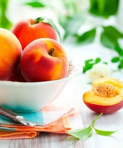 Fast Growing Trees Peach Trees Harvester Peach Tree - USDA Organic