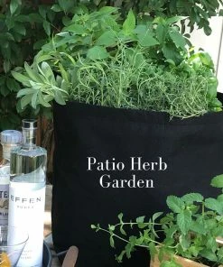 Fast Growing Trees Patio Herb Garden Urban/Patio Gardening 8 Fast Growing Trees Patio Herb Garden Urban/Patio Gardening