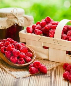 Fast Growing Trees Raspberry Bushes Heritage Everbearing Raspberry Plant 9 Fast Growing Trees Raspberry Bushes Heritage Everbearing Raspberry Plant