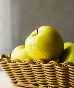 Fast Growing Trees Apple Trees Honeygold Apple Tree