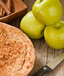 Fast Growing Trees Apple Trees Honeygold Apple Tree