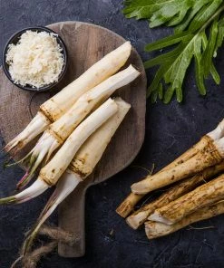 Fast Growing Trees Groundcover & Vines Horseradish Plant