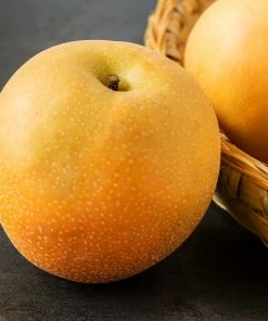 Fast Growing Trees Hosui Asian Pear Tree Pear Trees