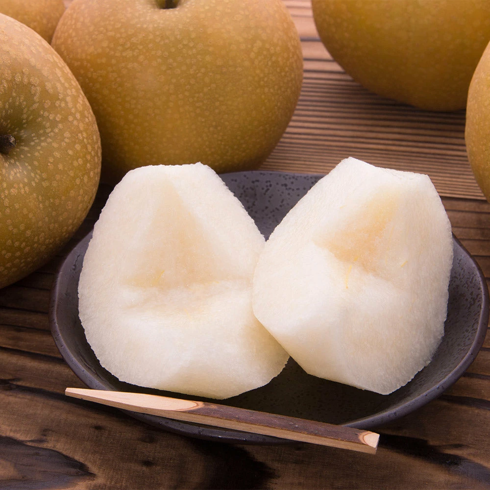 Fast Growing Trees Hosui Asian Pear Tree 6 Fast Growing Trees Hosui Asian Pear Tree