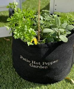 Fast Growing Trees Patio Hot Pepper Garden Urban/Patio Gardening