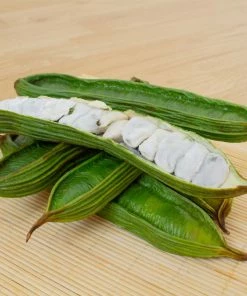 Fast Growing Trees See All House & Patio Ice Cream Bean Tree