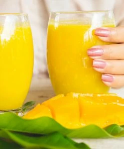 Fast Growing Trees Mango Trees Ice Cream Mango Tree