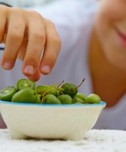 Fast Growing Trees ISSAI Hardy Kiwi