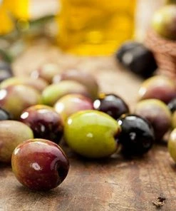 Fast Growing Trees Italian Olive Tree 11 Fast Growing Trees Italian Olive Tree