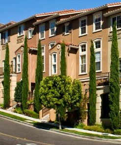 Fast Growing Trees See All Evergreen & Privacy Trees Italian Cypress 13 Fast Growing Trees See All Evergreen & Privacy Trees Italian Cypress