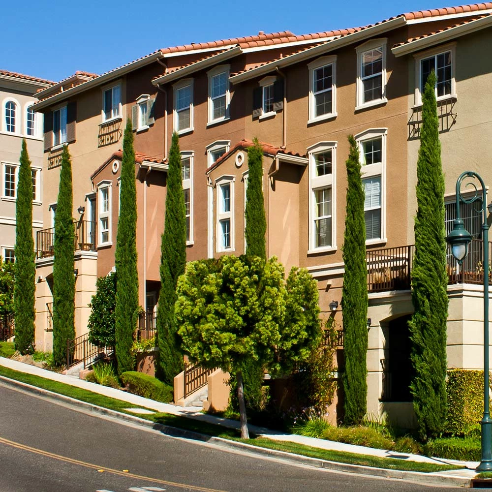 Fast Growing Trees See All Evergreen & Privacy Trees Italian Cypress 7 Fast Growing Trees See All Evergreen & Privacy Trees Italian Cypress