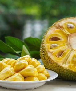 Fast Growing Trees See All Fruit Trees Jackfruit Tree