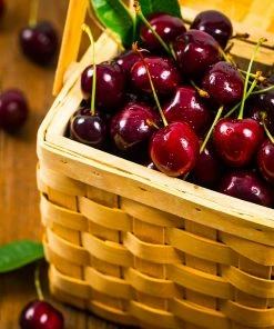 Fast Growing Trees Romeo And Juliet™ Cherry Trees