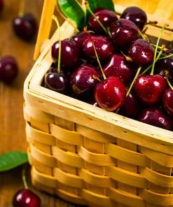 Fast Growing Trees Romeo And Juliet™ Cherry Trees