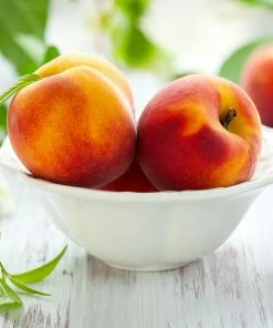 Fast Growing Trees June Gold Peach Tree Peach Trees