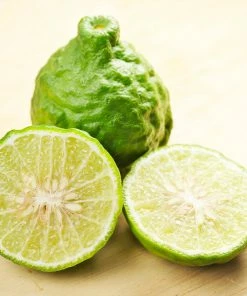 Fast Growing Trees Kaffer 'Kieffer' Lime Tree Citrus Trees